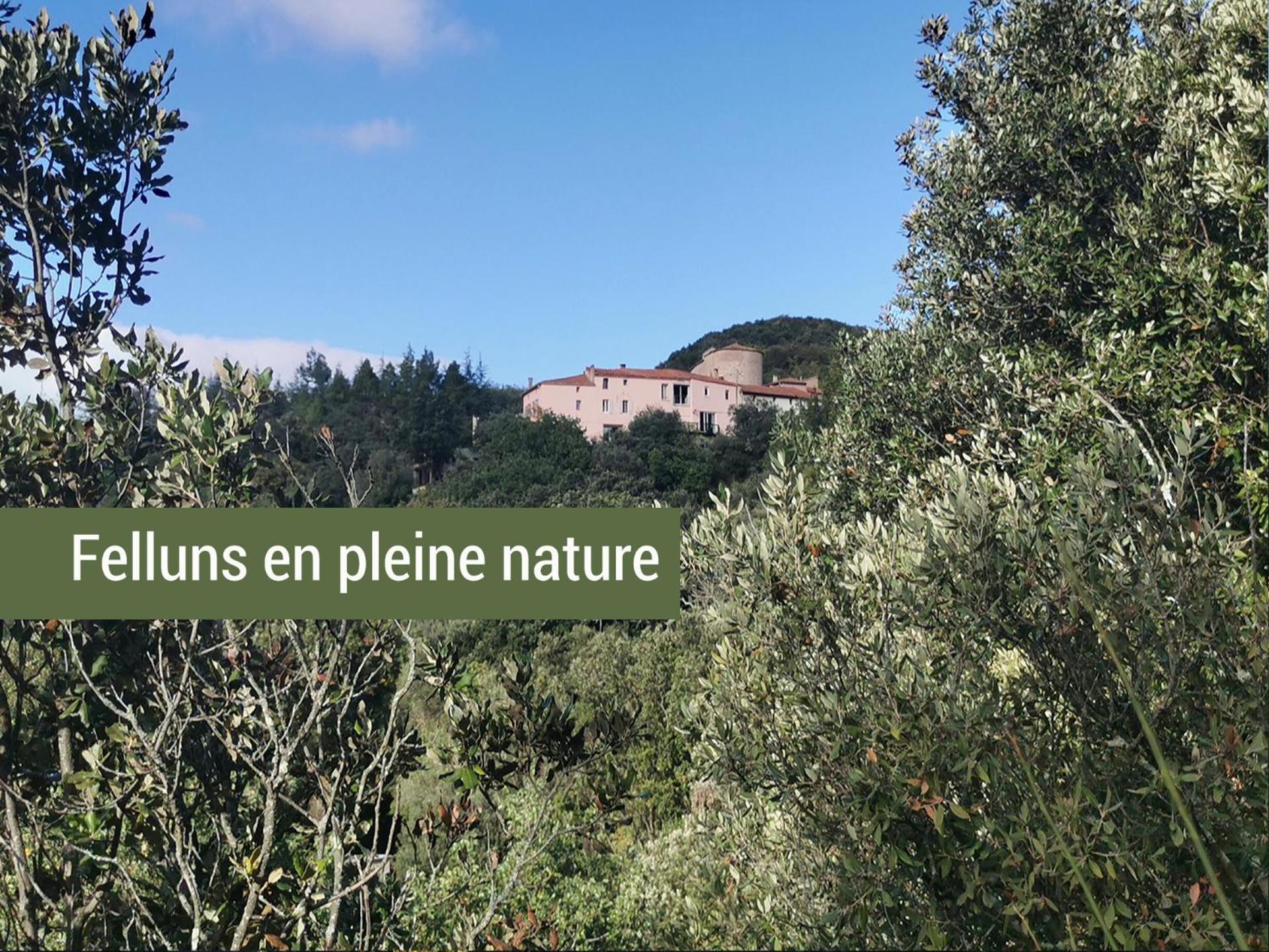 Pyrenees Mon Amour Felluns Eksteriør billede