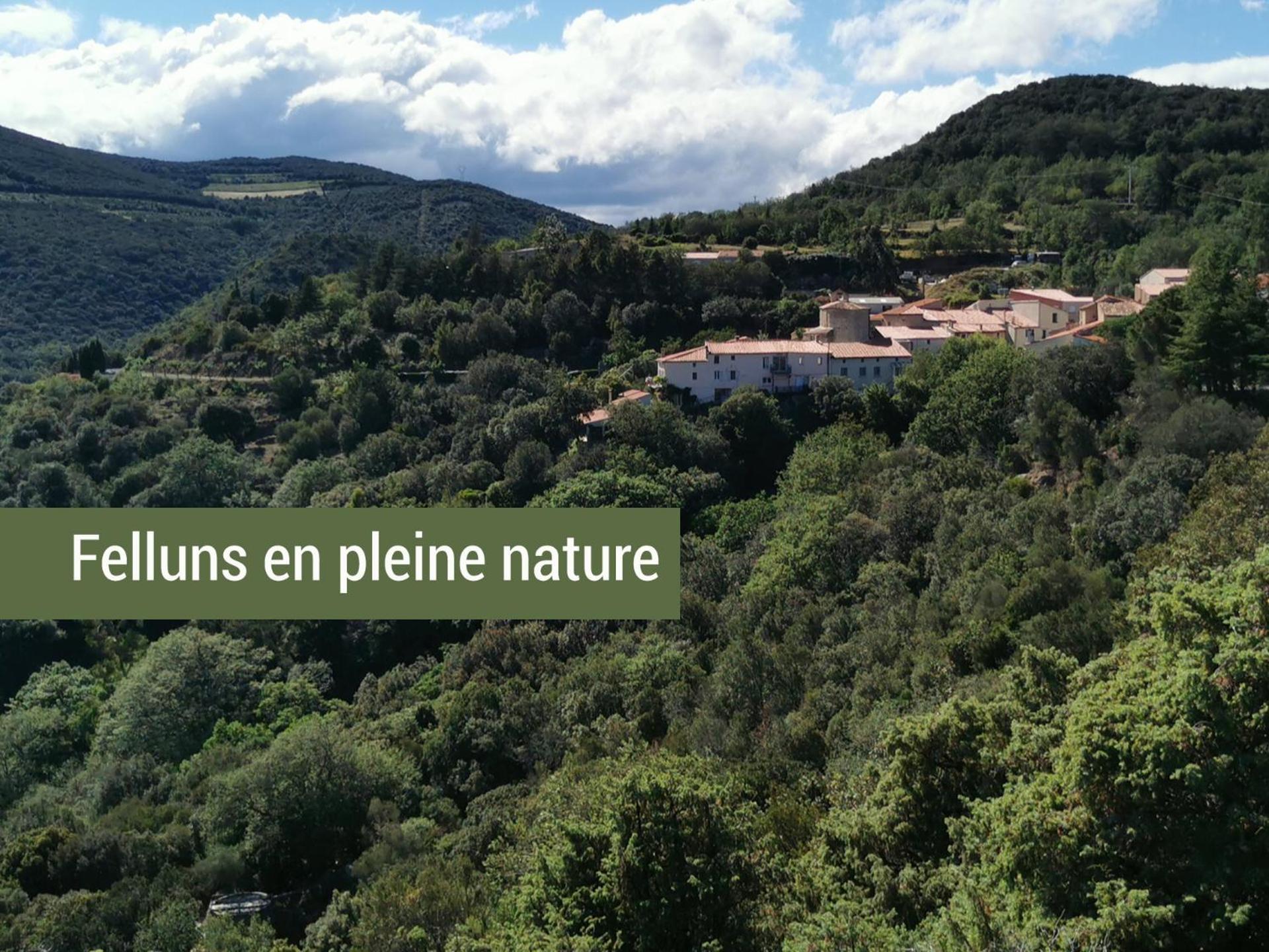 Pyrenees Mon Amour Felluns Eksteriør billede